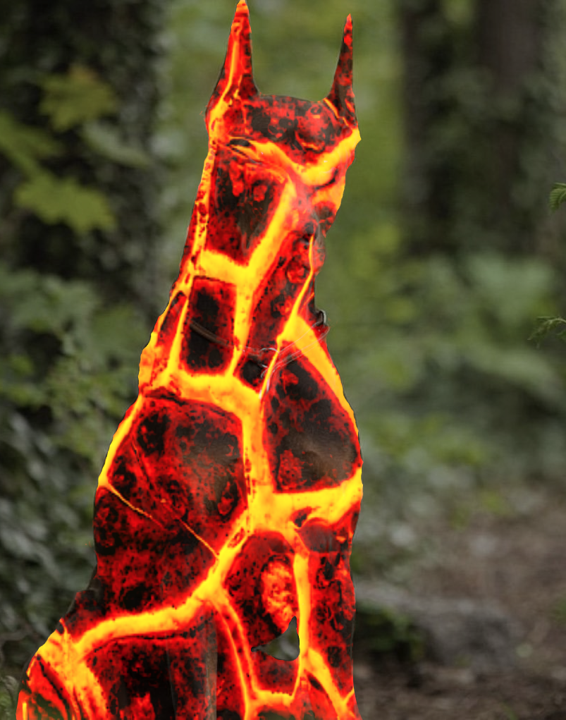 A doberman with a magma overlay