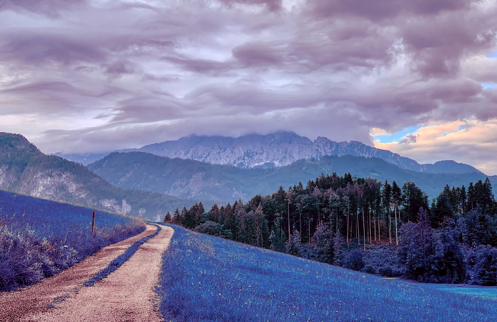 a landscape modified to being purple